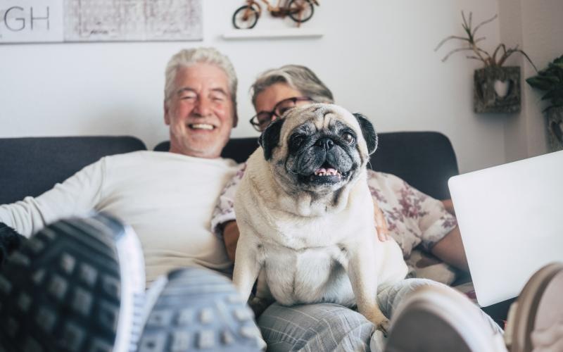 a person and a dog sitting on a couch